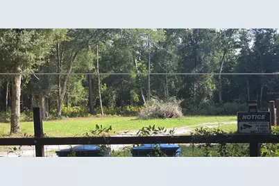 407 Raulerson Road, Seville, FL 32190 - Photo 3