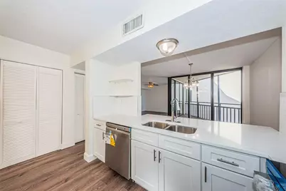 5541 Puerta Del Sol Boulevard S #313, Saint Petersburg, FL 33715 - Photo 25