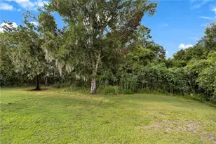 2780 Marsh Rd, Deland, FL 32724 - Photo 45