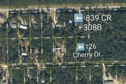 839 County Road 308B, Pomona Park, FL 32181 - Photo 5