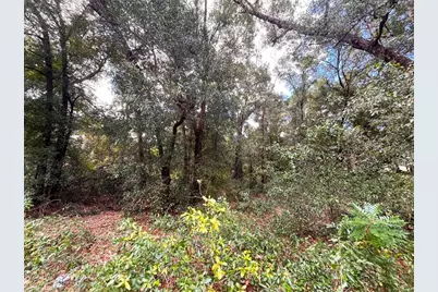 839 County Road 308B, Pomona Park, FL 32181 - Photo 3