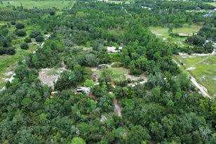 698 Wild Acres Rd, Osteen, FL 32764 - Photo 3