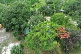 698 Wild Acres Rd, Osteen, FL 32764 - Photo 45