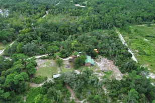 698 Wild Acres Rd, Osteen, FL 32764 - Photo 41