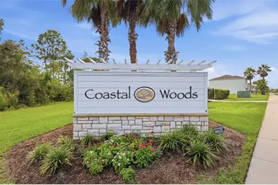 3241 Carpentaria Drive, New Smyrna Beach, FL 32168 - Photo 29