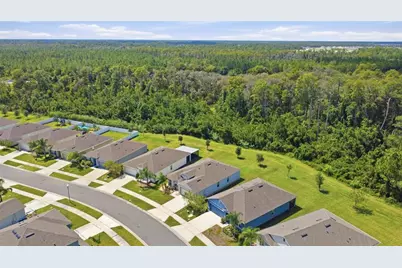 3241 Carpentaria Drive, New Smyrna Beach, FL 32168 - Photo 27