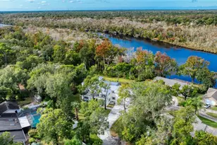 20 Spanish Oak Ln, Ormond Beach, FL 32174 - Photo 87