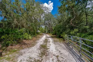 41330 Ford Rd, Eustis, FL 32736 - Photo 3