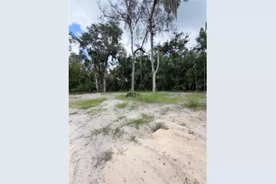 1909 S Farm Road, Deland, FL 32720 - Photo 11