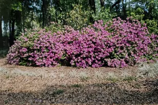 350 Lafayette Pl, Deland, FL 32720 - Photo 3