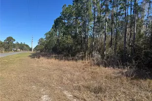 Grace Ave, Deland, FL 32720 - Photo 1