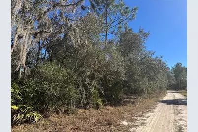 Grace Avenue, Deland, FL 32720 - Photo 3