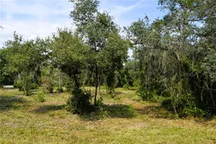625 Lake Butler Ave, Osteen, FL 32764 - Photo 1