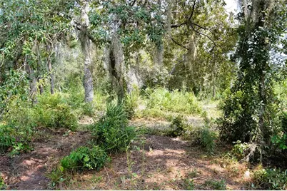625 Lake Butler Avenue, Osteen, FL 32764 - Photo 5