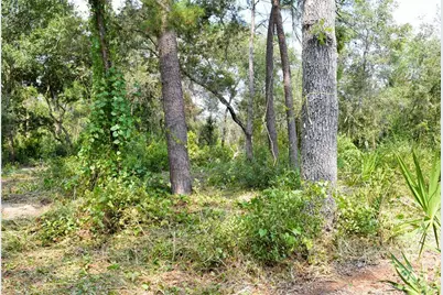 625 Lake Butler Avenue, Osteen, FL 32764 - Photo 7