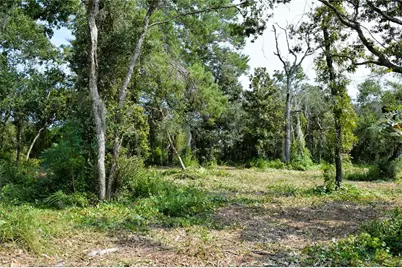 625 Lake Butler Avenue, Osteen, FL 32764 - Photo 9