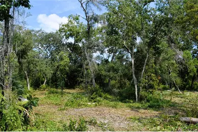 625 Lake Butler Avenue, Osteen, FL 32764 - Photo 13