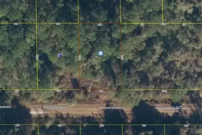334 Redwood Boulevard, Georgetown, FL 32139 - Photo 5
