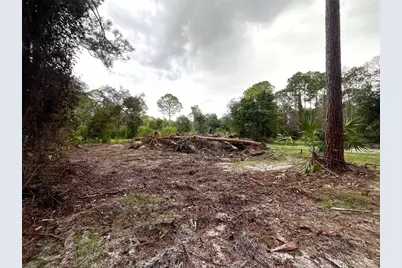 334 Redwood Boulevard, Georgetown, FL 32139 - Photo 3