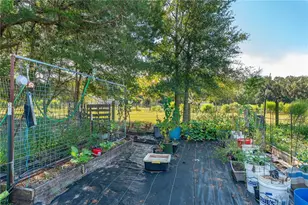 870 Co Rd 65, Bunnell, FL 32110 - Photo 71