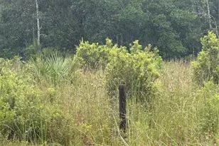 765 N US Hwy 17, Pierson, FL 32180 - Photo 1