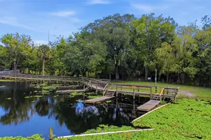313 Dirksen Dr, Debary, FL 32713 - Photo 33