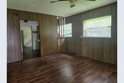 317 S Frankfort Avenue, Deland, FL 32724 - Photo 3