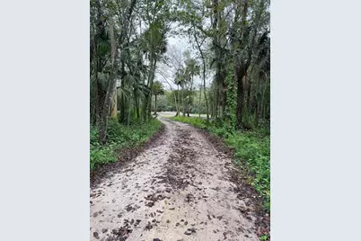 2295 Canal Street, Oviedo, FL 32765 - Photo 3