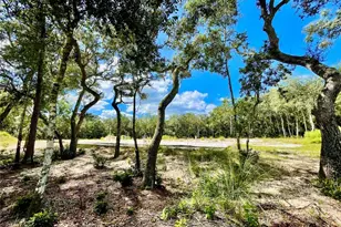 47125 East Ave, Paisley, FL 32767 - Photo 1