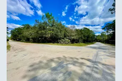 47125 East Avenue, Paisley, FL 32767 - Photo 11