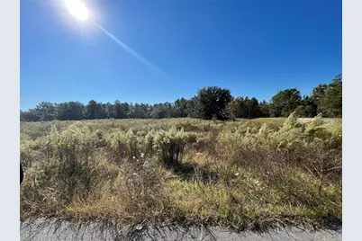 12160 Kadri Boulevard, Spring Hill, FL 34608 - Photo 5