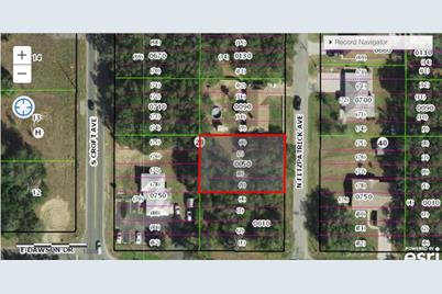 24 N Fitzpatrick Avenue, Inverness, FL 34453 - Photo 1