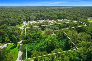 1026 Roosevelt Ave, Spring Hill, FL 34604 - Photo 3