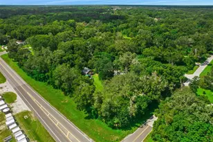 1026 Roosevelt Ave, Spring Hill, FL 34604 - Photo 9