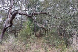 0 Purdue St, New Port Richey, FL 34654 - Photo 1