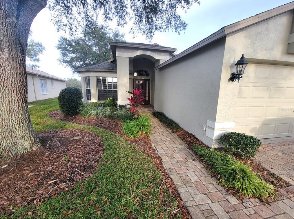 18222 Webster Grove Dr, Port Richey FL  34667-5599 exterior