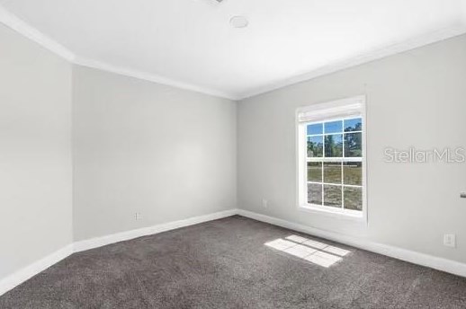 13161 Nottingham Trl, Port Richey FL  34669-0033 exterior