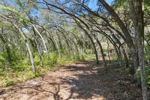 13161 Nottingham Trl, Port Richey FL  34669-0033 exterior