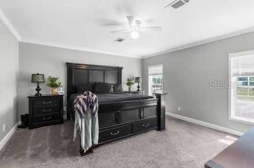 13161 Nottingham Trl, Port Richey FL  34669-0033 exterior