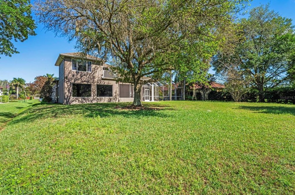 6511 Alcester Dr, New Port Richey FL 34655-3714 exterior