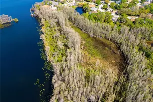 21312 Preservation Dr, Land O Lakes, FL 34638 - Photo 59