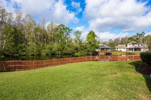 21312 Preservation Dr, Land O Lakes, FL 34638 - Photo 47