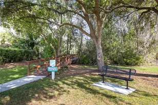 21312 Preservation Dr, Land O Lakes, FL 34638 - Photo 49