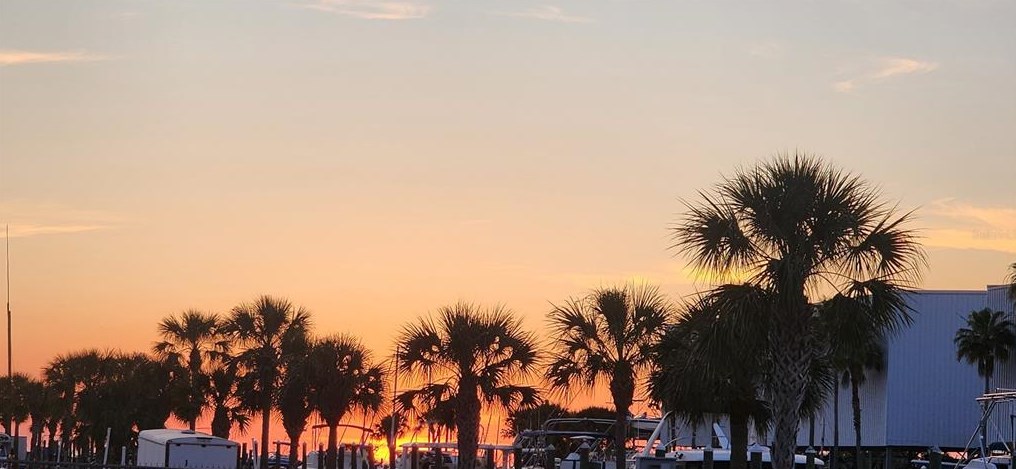 7210 Cheshire Ct, Port Richey FL  34667-1447 exterior