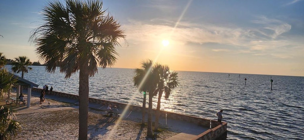 7210 Cheshire Ct, Port Richey FL  34667-1447 exterior