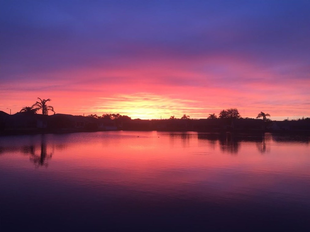 4429 Whitton Way, New Port Richey FL  34653-6366 exterior