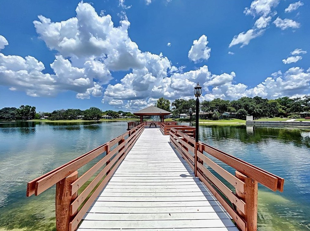 8220 Seven Oaks Ct, Port Richey FL  34668-1851 exterior