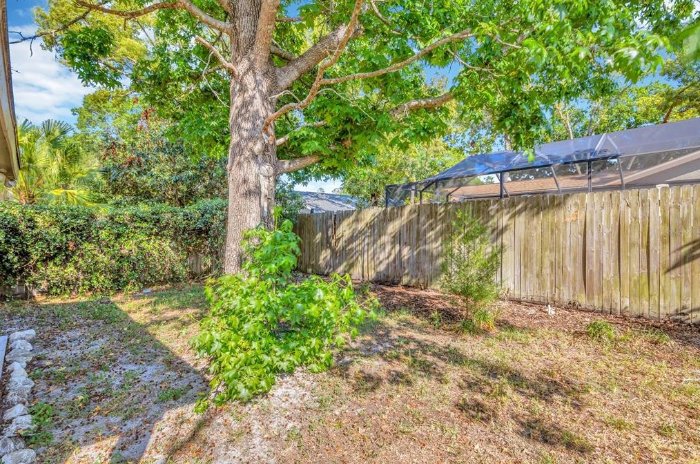 10322 Turkey Oak Dr, New Port Richey FL  34654-5840 exterior