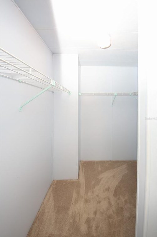 12024 Longhorn Dr, Port Richey FL  34667-2294 exterior