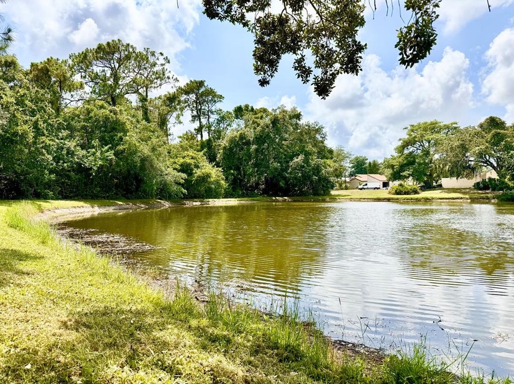 8020 Wild Flower Row, Port Richey FL  34667-2453 exterior